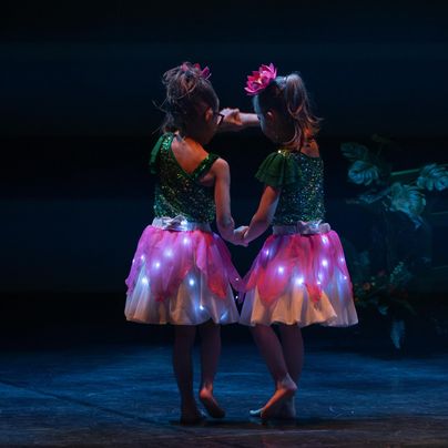 Dance Gallery - Show 2024